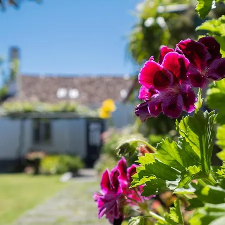 Casa Tradicional Da Tatil Evi