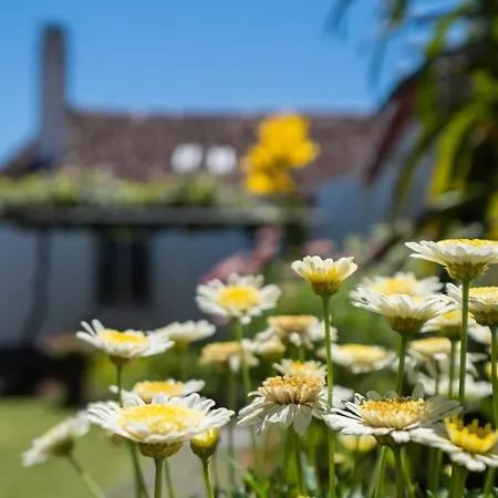 Casa Tradicional Da Holiday home *