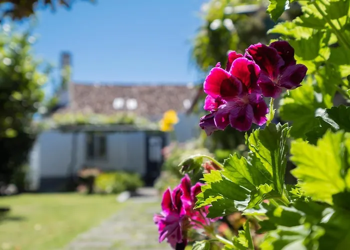 Casa Tradicional Da Dom wakacyjny
