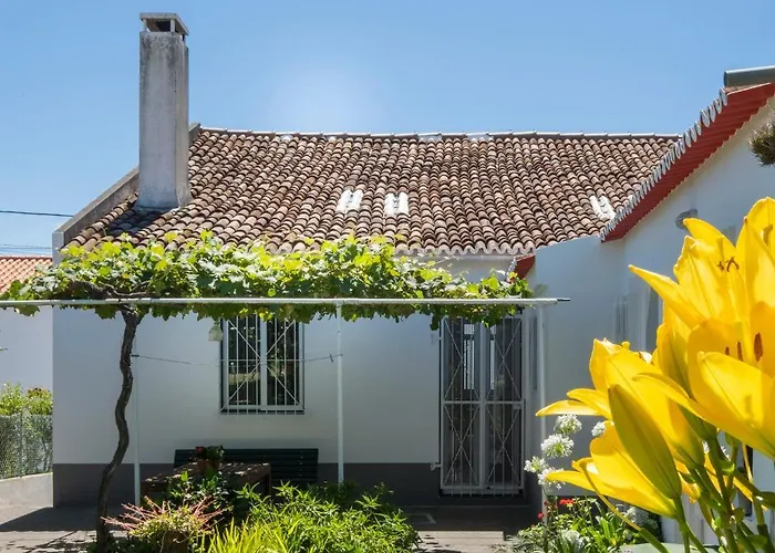 Dom wakacyjny Casa Tradicional Da Vila Franca do Campo