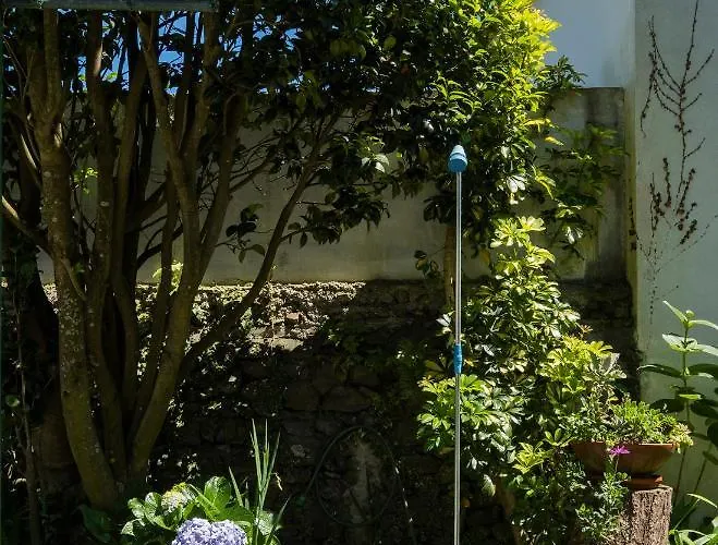 Dom wakacyjny Casa Tradicional Da *