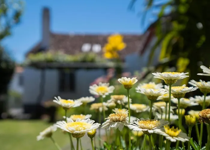 Casa Tradicional Da Dom wakacyjny *